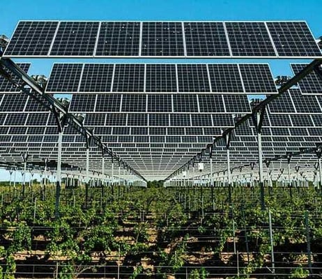 Solar panel farm in a field