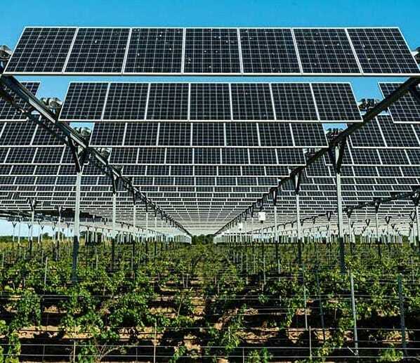 Solar panel farm in a field
